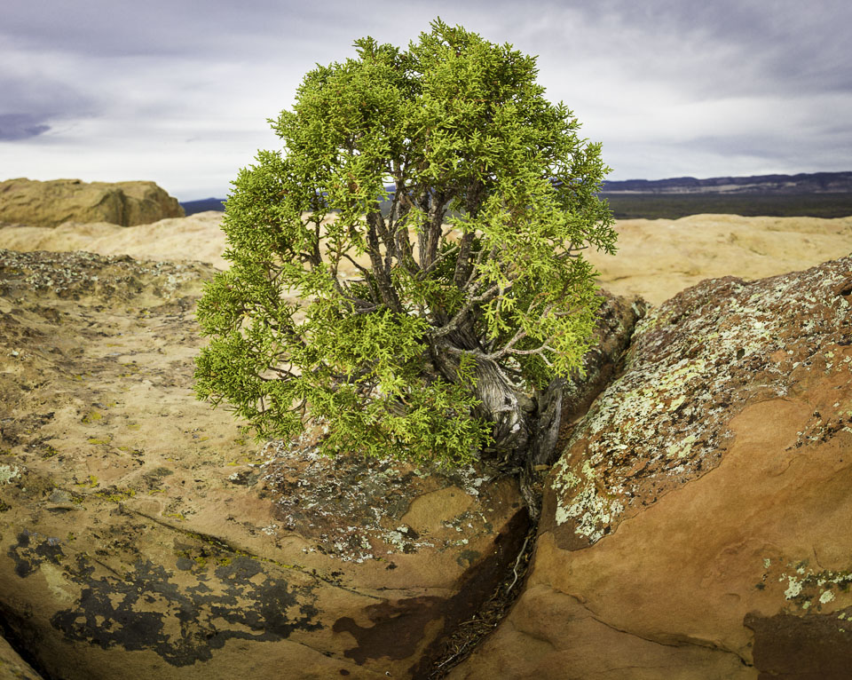 MP-09644-Pano.jpg