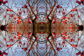 Abstract