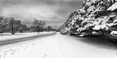 Ice and Snow